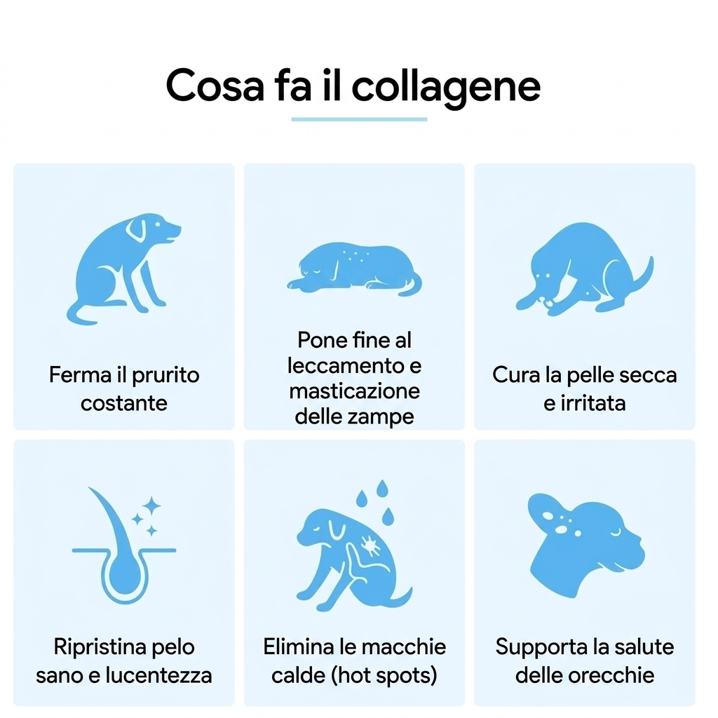 Vitalora Collagene Liquido Premium