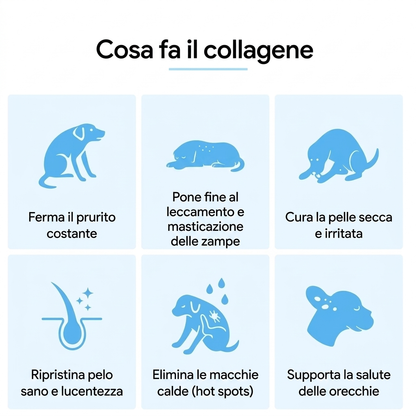 Vitalora Collagene Liquido Premium