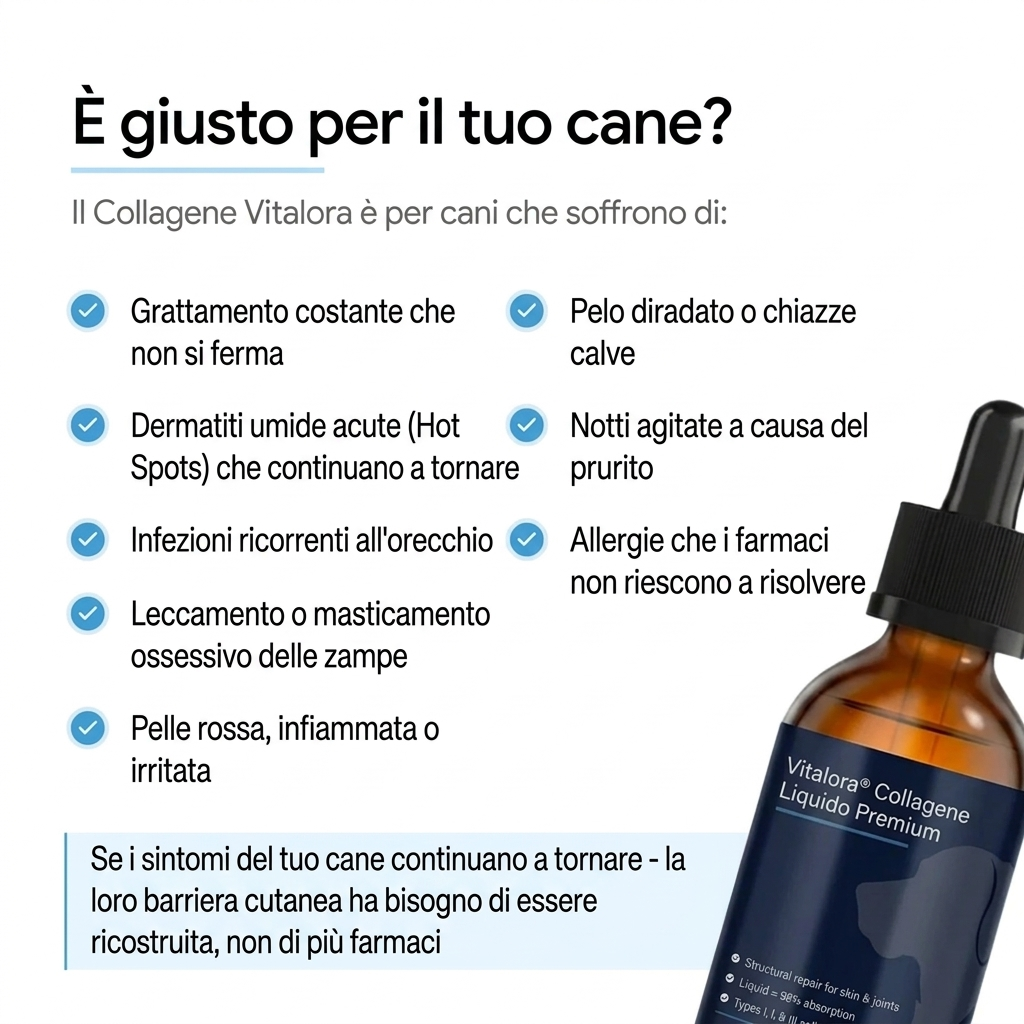 Vitalora Collagene Liquido Premium