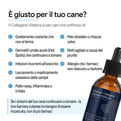 Vitalora Collagene Liquido Premium